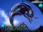 DOLPHIN_BOX